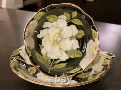 Rare PARAGON BY APPOINTMENT White Gardenia on Black Gold Gild- Tea Cup & Saucer