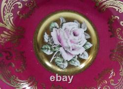Rare PARAGON FLOATING PINK ROSE on GOLD CUP & SAUCER Hand Painted c1952-60
