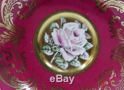 Rare PARAGON FLOATING PINK ROSE on GOLD CUP & SAUCER Hand Painted c1952-60