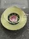 Rare Paragon Floating Pink Rose Cup & Saucer Pastel Yellow & Gold Lovely Cond