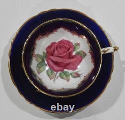 Rare Paragon Johnson FLOATING RED ROSE CUP & SAUCER Cobalt & Gold Filigree