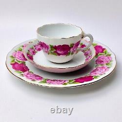 Reine Handarbeit 30 piece porcelain teaset. Cabbage Roses Dresden Germany