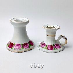 Reine Handarbeit 30 piece porcelain teaset. Cabbage Roses Dresden Germany