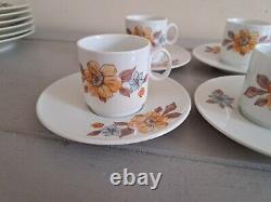 Richard Ginori 6 x Espresso Coffee Cups & Saucers & 6 Cake Plates Vintage Floral