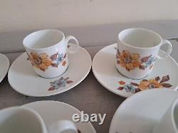 Richard Ginori 6 x Espresso Coffee Cups & Saucers & 6 Cake Plates Vintage Floral