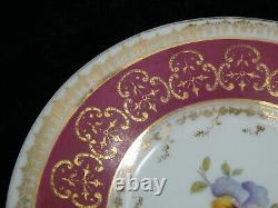 Rosenthal Cup & Saucer Red Gold Rim Flowers Unusual Birds Head Handle 1891-1906