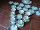 Royal Albert Moonlight Rose Tea Set 26 Piece Bone China Platter Cups Bowls