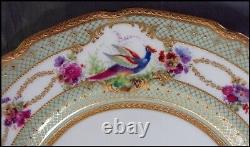 Royal Doulton 15 Pc Tea Set Demitasse Cup Saucer Plate Exotic Birds Gold Beads