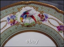 Royal Doulton 15 Pc Tea Set Demitasse Cup Saucer Plate Exotic Birds Gold Beads