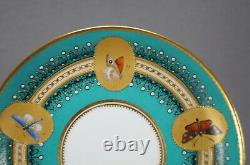 Royal Worcester Butterflies Turquoise Gold & Enamel Jeweled Coffee Cup & Saucer