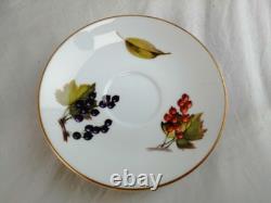 Royal Worcester Evesham Gold Porcelain Tea set x12 Cup & Saucers + Coffee Pot