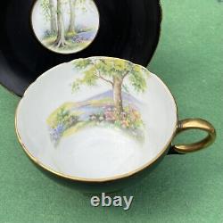 Shelley Cup /Saucer Set. Matte Black, Country Lake Scene, Gold Trim England 1950