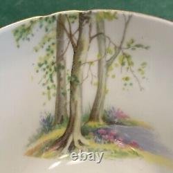 Shelley Cup /Saucer Set. Matte Black, Country Lake Scene, Gold Trim England 1950