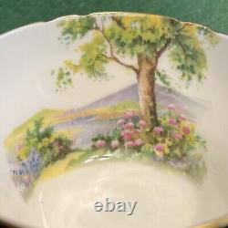 Shelley Cup /Saucer Set. Matte Black, Country Lake Scene, Gold Trim England 1950