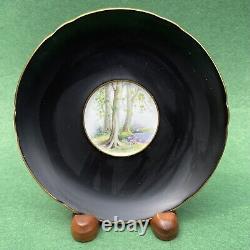Shelley Cup /Saucer Set. Matte Black, Country Lake Scene, Gold Trim England 1950