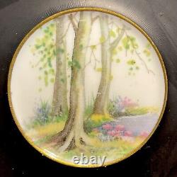 Shelley Cup /Saucer Set. Matte Black, Country Lake Scene, Gold Trim England 1950