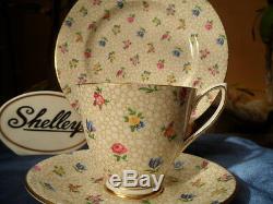 Shelley Floral Chintz Carlisle Footed Cup, Saucer & Plate Gold Trim