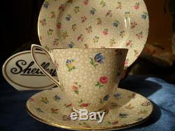 Shelley Floral Chintz Carlisle Footed Cup, Saucer & Plate Gold Trim