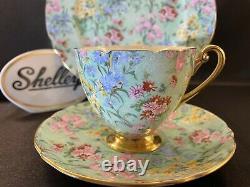 Shelley MELODY CHINTZ FOOTED RIPON CUP, SAUCER AND 8 PLATE GOLD TRIM