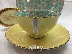 Shelley Marguerite Chintz Footed Lincoln Cup, Saucer & Plate #14217 Gold Trim