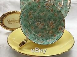 Shelley Marguerite Chintz Footed Lincoln Cup, Saucer & Plate #14217 Gold Trim