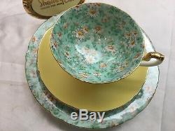 Shelley Marguerite Chintz Footed Lincoln Cup, Saucer & Plate #14217 Gold Trim