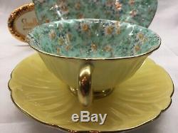 Shelley Marguerite Chintz Footed Oleander Cup, Saucer & Plate #13693 Gold Trim