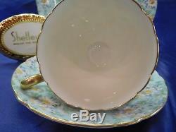 Shelley Marguerite Chintz Footed Ripon Cup, Saucer & Plate #13694 Gold Trim