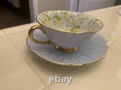 Shelley Primrose Chintz Light Blue Oleander Teacup Tea Cup Saucer Gold