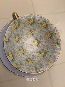 Shelley Primrose Chintz Light Blue Oleander Teacup Tea Cup Saucer Gold