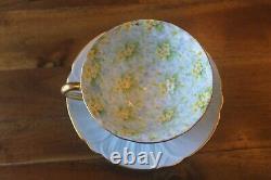 Shelley Primrose Chintz Light Blue Oleander Teacup Tea cup saucer gold