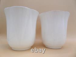 Shelley Regency Fine Bone China Coffee Cups and Saucers Set of 6 White Gold Trim