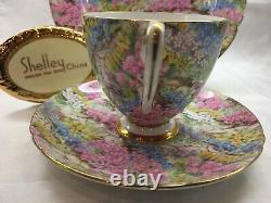 Shelley Ripon Rock Garden Chintz Cup, Saucer And Plate Gold Trim #14267