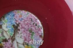 Shelley Rock Garden Chintz Burgundy Teacup Tea cup Saucer gold Henley shape