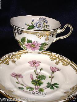 Spode England Bone China Stafford Flowers Cup & Saucer Gold Scrolls & Trim