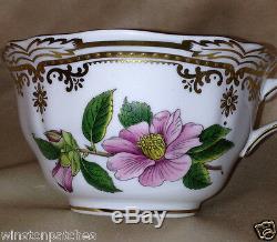 Spode England Bone China Stafford Flowers Cup & Saucer Gold Scrolls & Trim