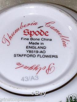 Spode England Bone China Stafford Flowers Cup & Saucer Gold Scrolls & Trim