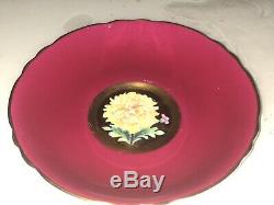 Stunning Gold Paragon Floating Chrysanthemum mums Cup & Saucer
