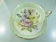 Sweet Pea Floral A 1838 Gold Trim Cup & Saucer Set By Paragon China