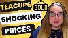 Teacups Sell For Big Money Brands Worth More So Much Money