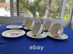Tokyo China Porcelain Set 6 Tea Cups Saucers + 2 Extra Footed Painted Roses Gold