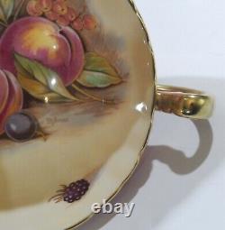 Vint AYNSLEY GOLDEN ORCHARD CUP & SAUCER Pink Colorway Artist signed OBAN shape