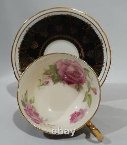 Vintage 1940s AYNSLEY PINK CABBAGE ROSE CUP & SAUCER on BLACK with Gold Filigree