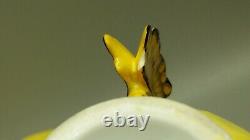 Vintage AYNSLEY England Cup & Saucer SetButterfly Handle on Yellow withGold Trim