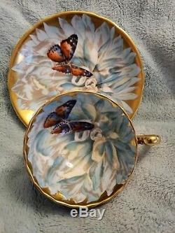 Vintage Aynsley China Cup & Saucer Colorful Chrysanthemum Butterfly & Gold