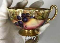 Vintage Aynsley Cup Saucer Gold Orchard Fruit #C746 Signed Brunt & Jones Footed