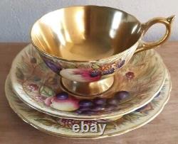 Vintage Aynsley Orchard Gold cup and saucer signed N. Brunt
