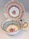 Vintage China Tea Cup & Saucer Harlequin Pink Blue Gold Chintz Rose Gilt Aynsley