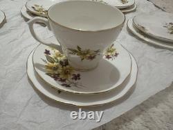 Vintage Duchess Floral Cup Saucer w Gold Trim' Susie' 406 Bone China England