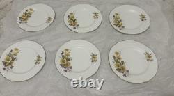 Vintage Duchess Floral Cup Saucer w Gold Trim' Susie' 406 Bone China England